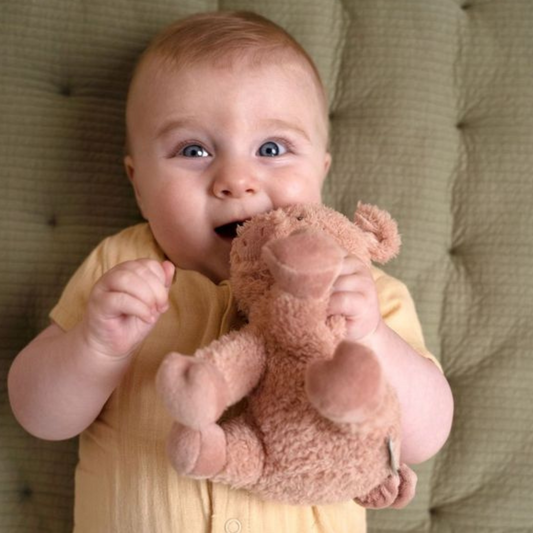 Knuffel Varken 17cm Little Farm