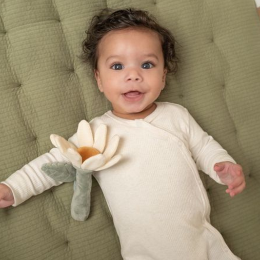 Rammelaar bloem Little Farm