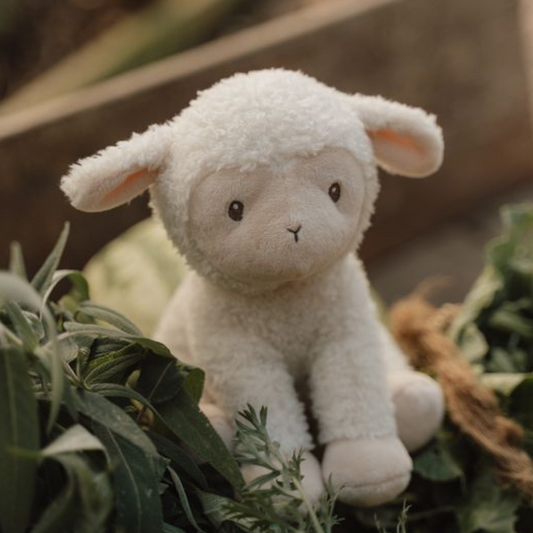 Knuffel Schaap 17cm Little Farm