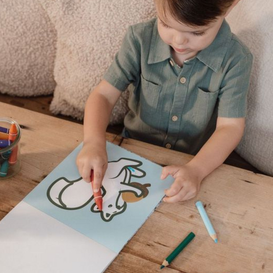 Boekje kleuren binnen de lijntjes Forest Friends