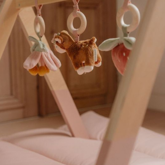 Babygym - Fairy Garden