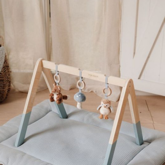 Babygym - Forest Friends