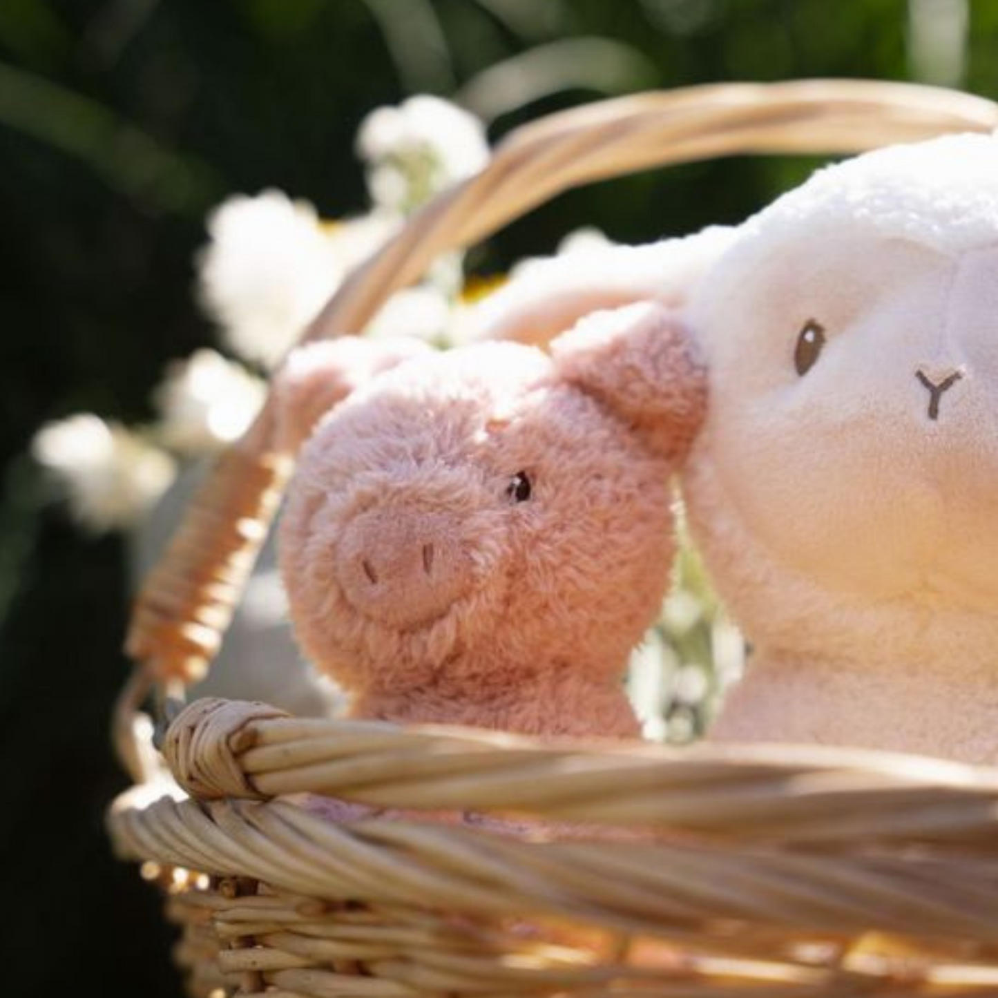 Knuffel Varken 17cm Little Farm