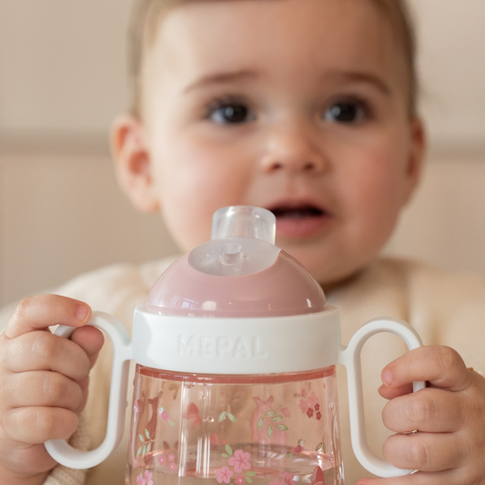 Antilek tuitbeker Fairy garden