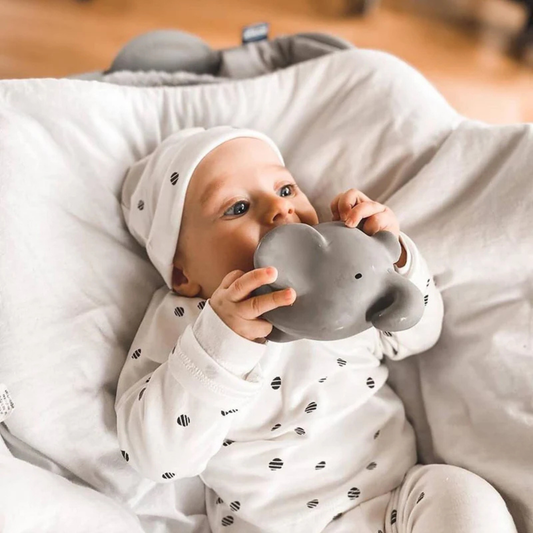 Olifant badspeeltje tikiri