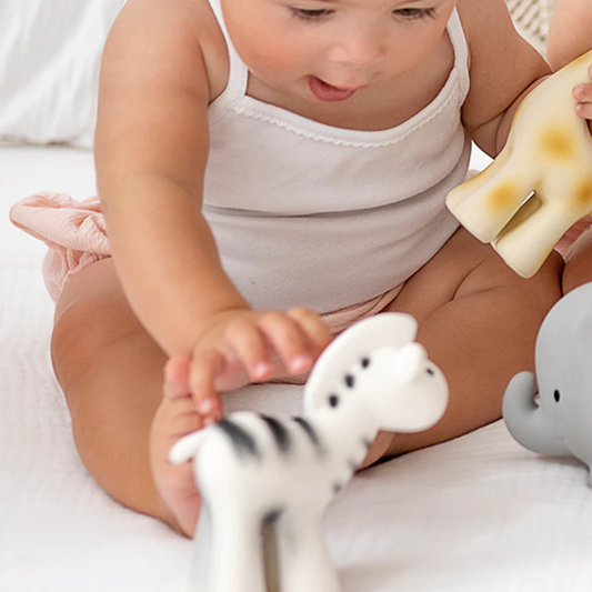 Zebra badspeeltje tikiri