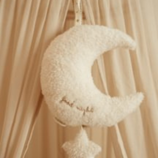 Muziekdoosje Newborn Naturals