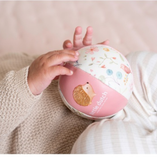 Softbal fairy garden