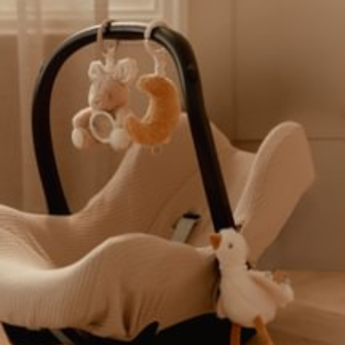 Activiteiten hangers Newborn Naturals