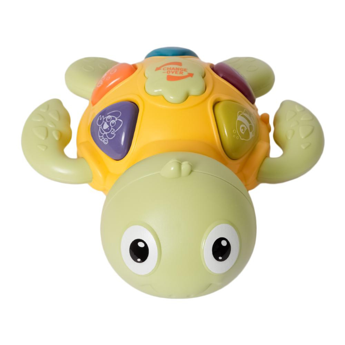 Muzikale schildpad