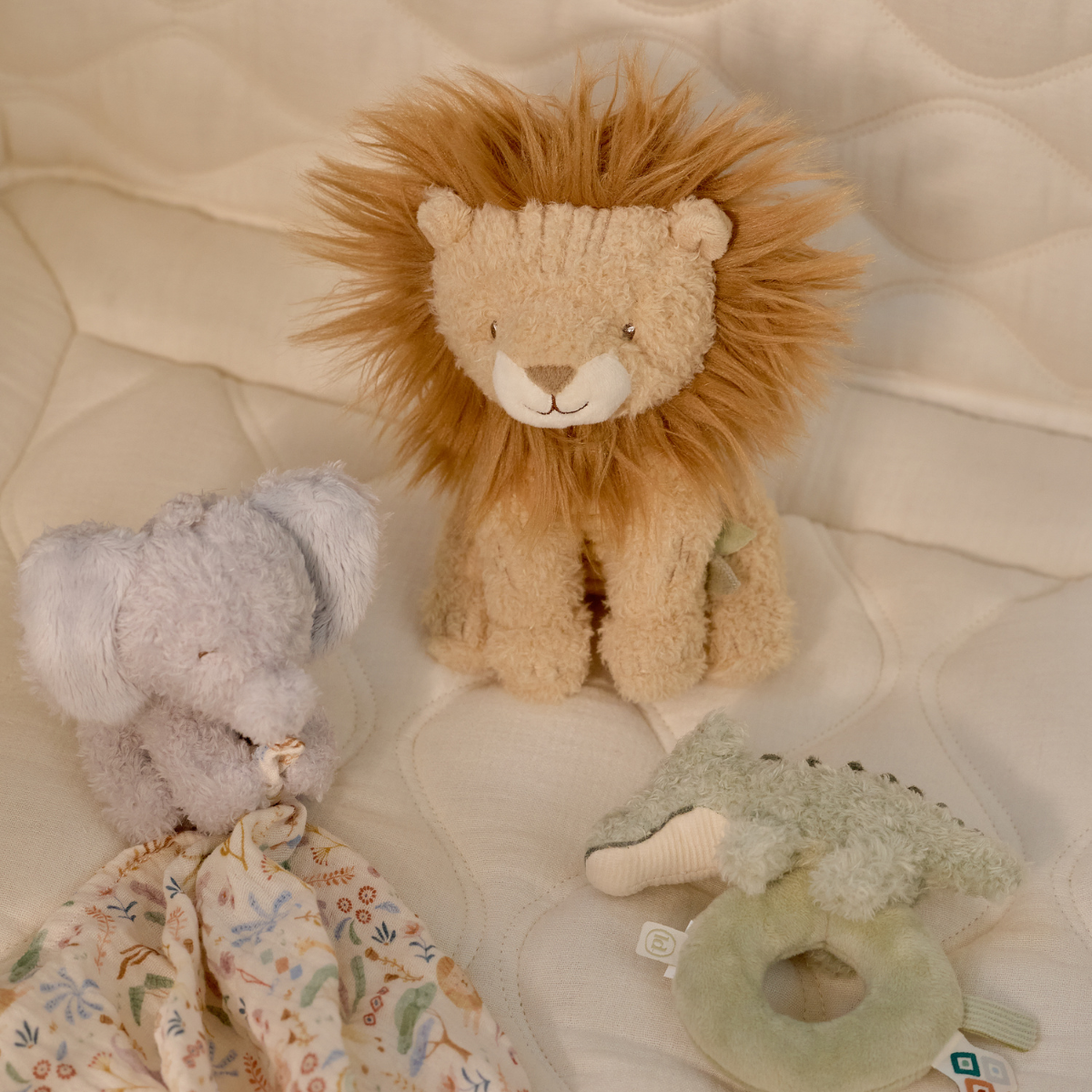 Giftset - Safari Friends