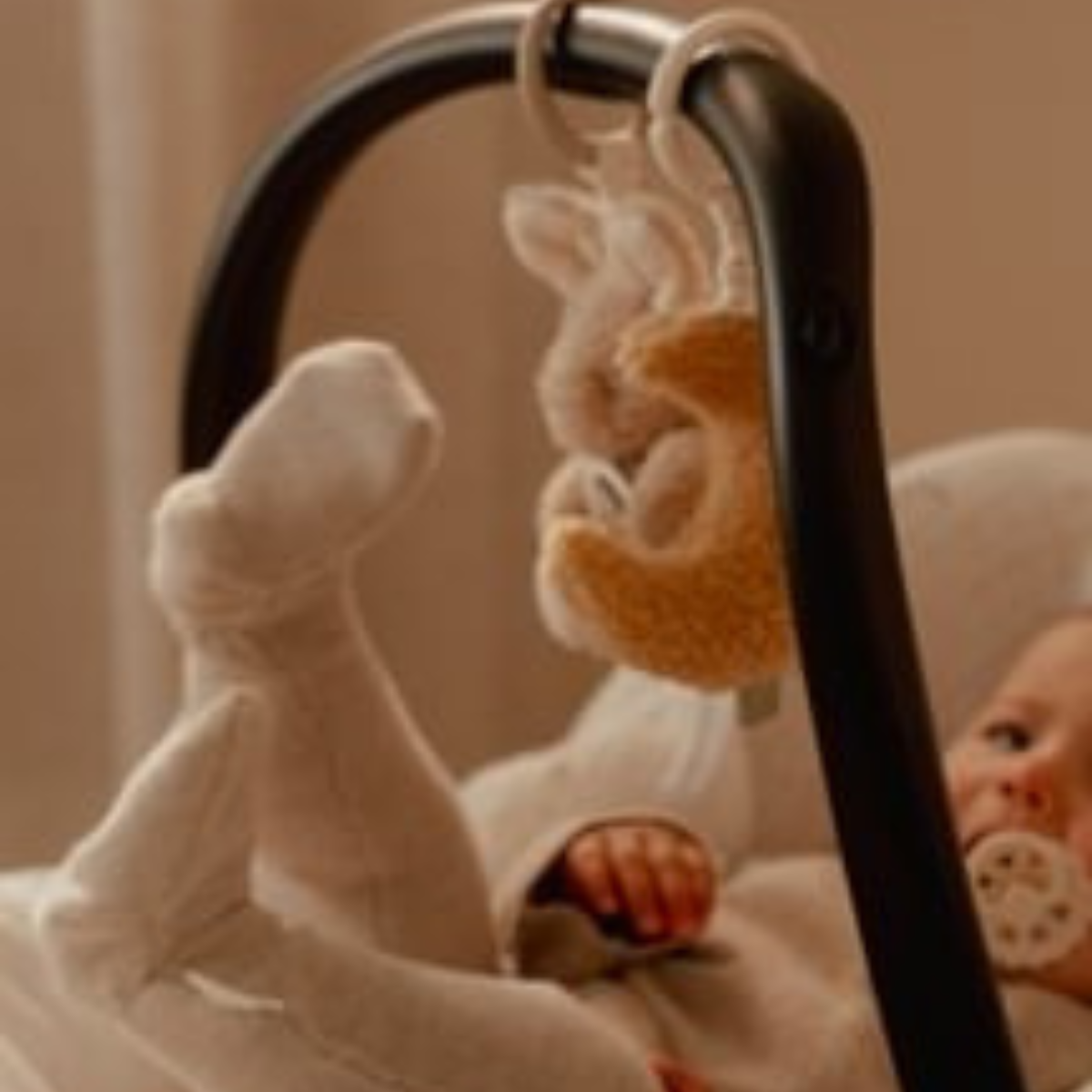 Activiteiten hangers Newborn Naturals