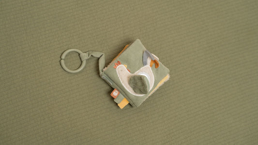 Buggyboekje Little Farm