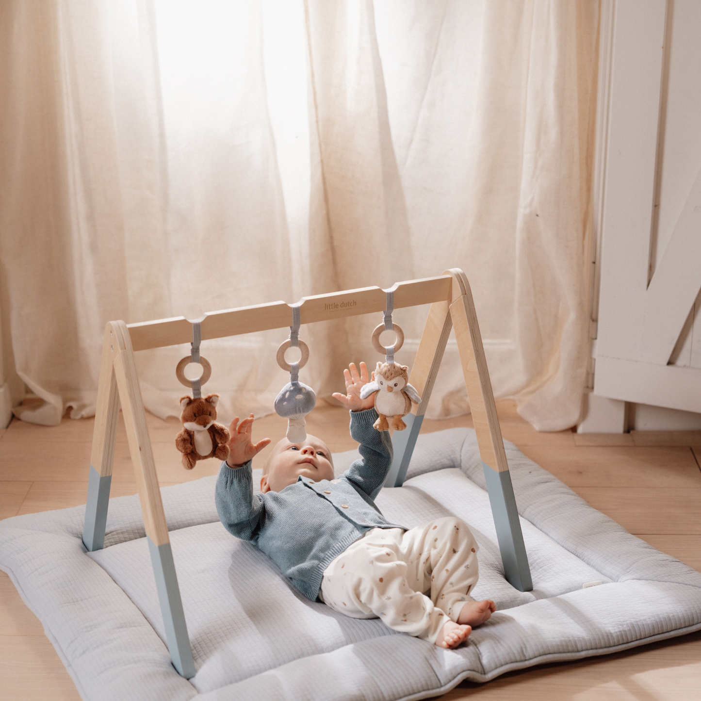 Babygym - Forest Friends