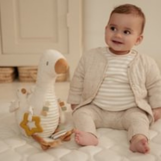 Activiteitenknuffel Little Goose