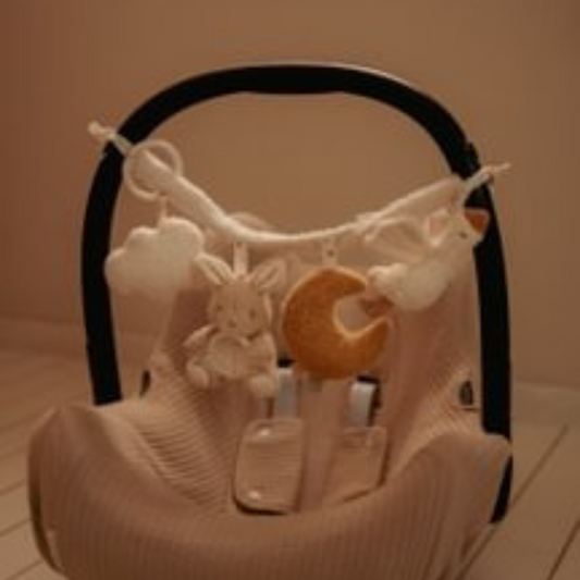Wagenspanner Newborn Naturals