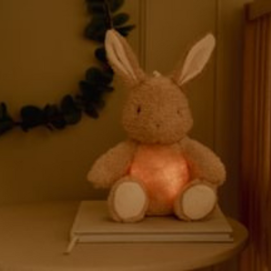 Knuffelkonijn Licht & Geluid
