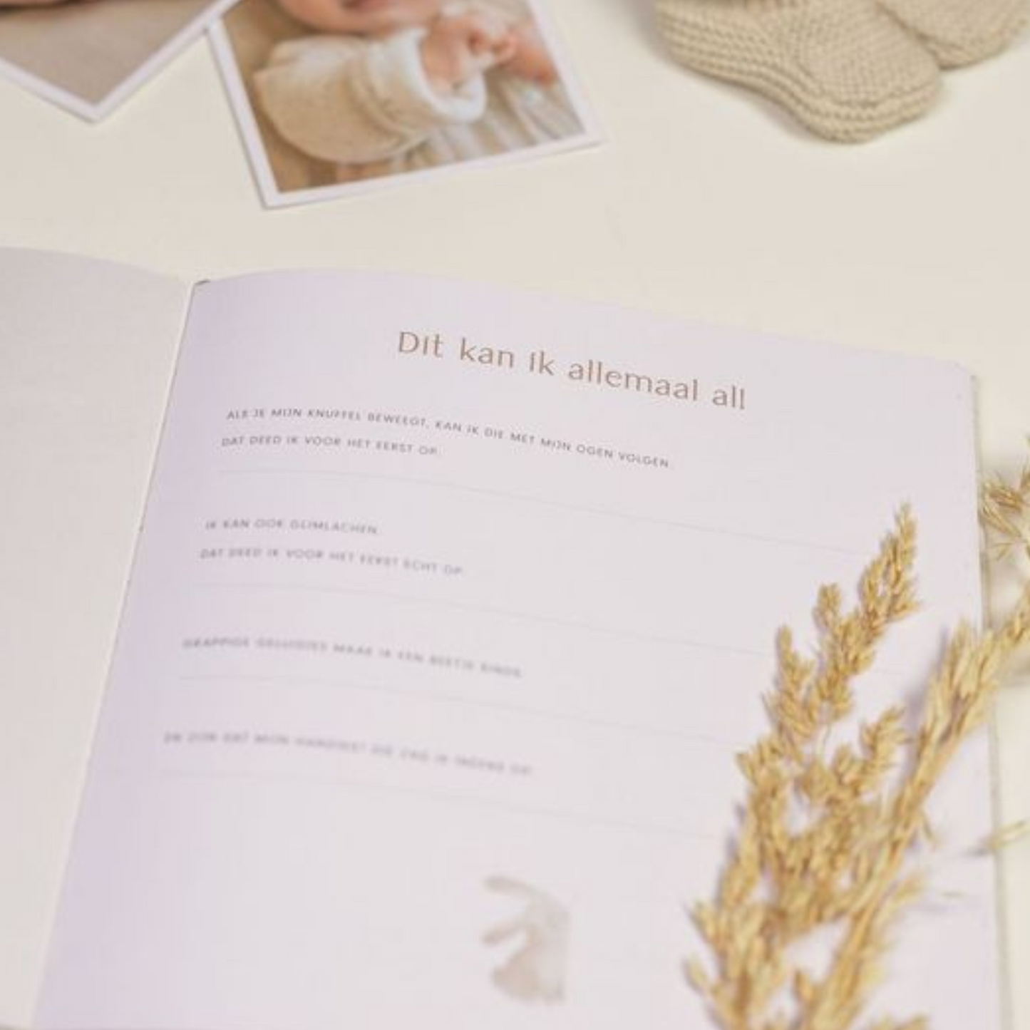 Babyboek 'Mijn eerste jaar' Baby Bunny