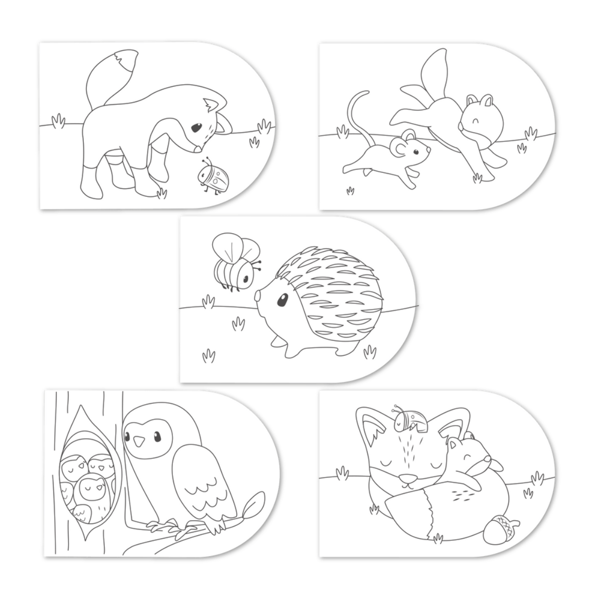 Verfboek Forest Friends
