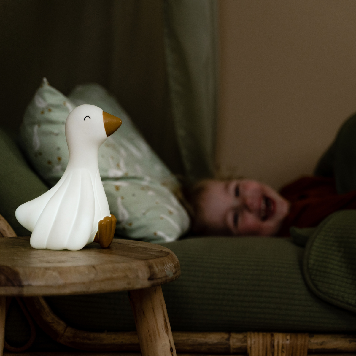 Nachtlampje Goose