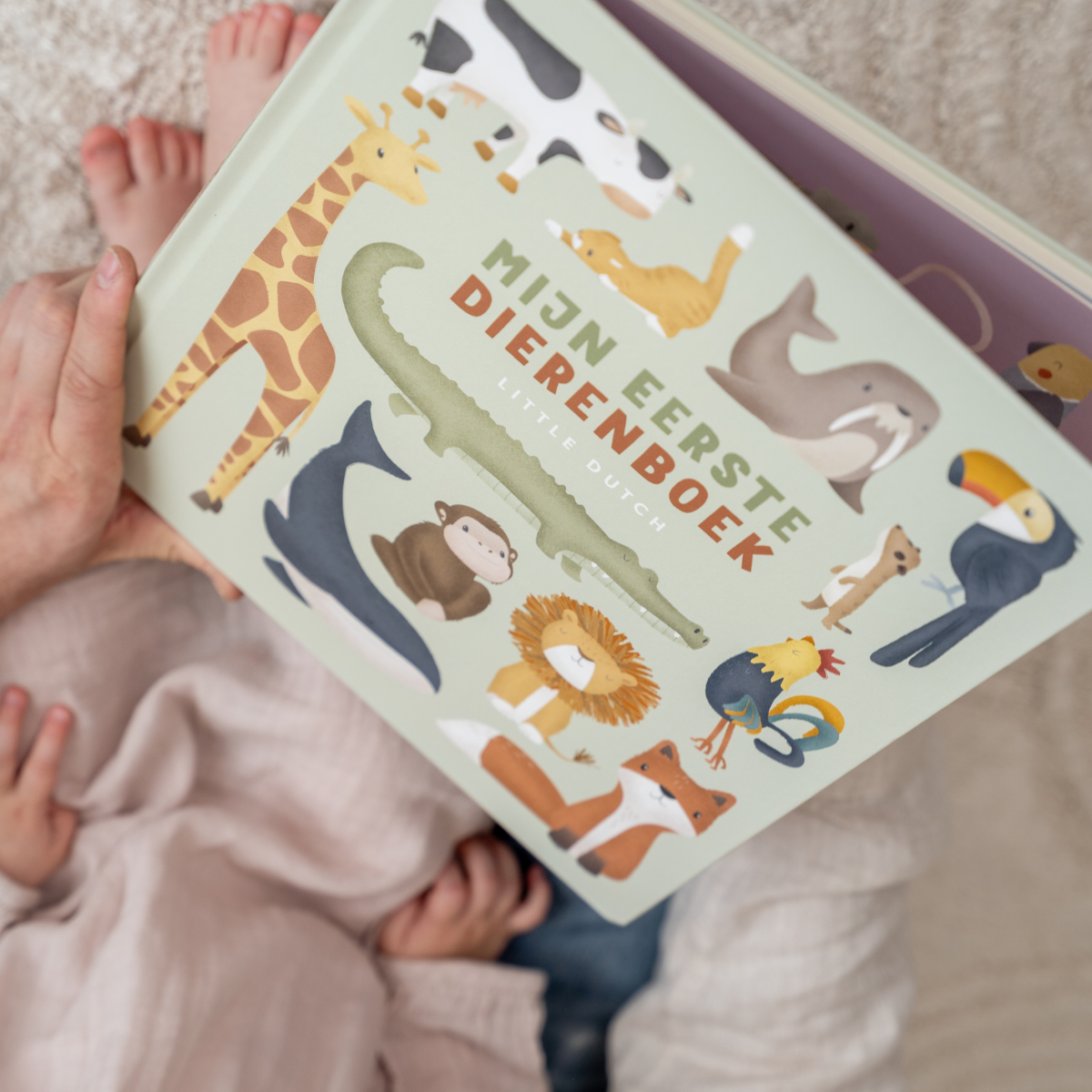 Kinderboek Mijn eerste dierenboek