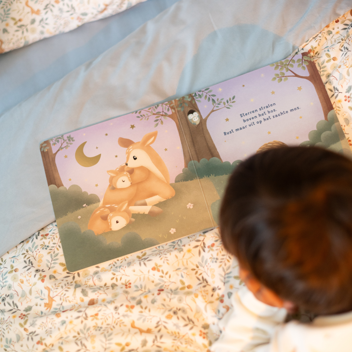 Boekje Welterusten Kleintje