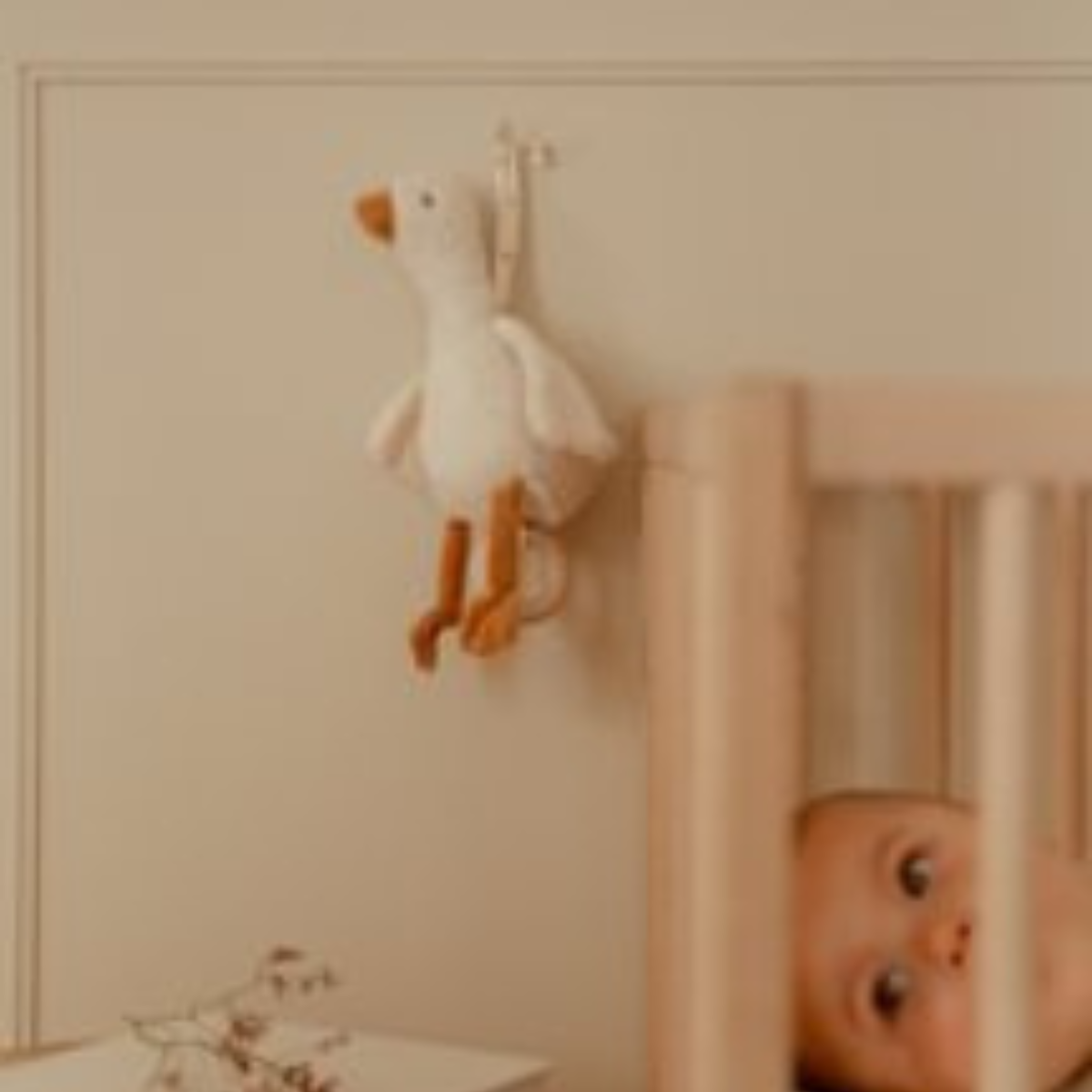 Muziekdoosje Little Goose