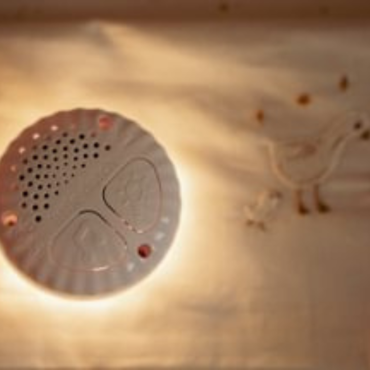 Knuffelgans Licht & Geluid