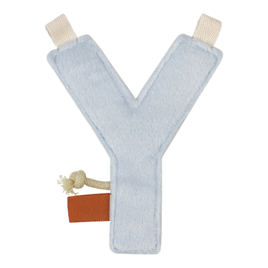 Little Dutch letter Y