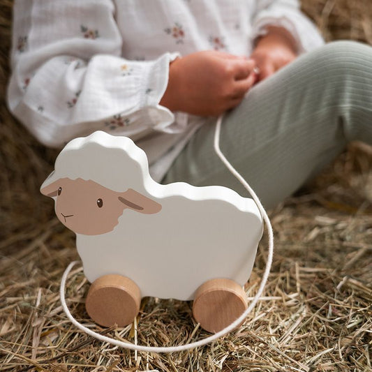 Trekdier schaap