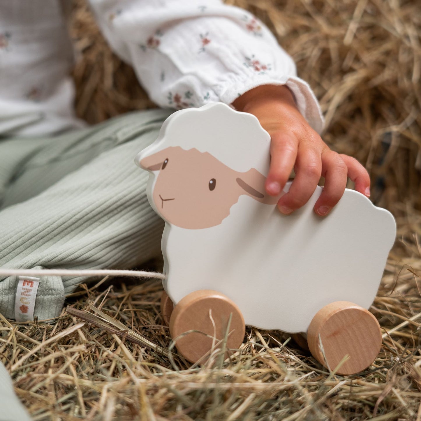 Trekdier schaap